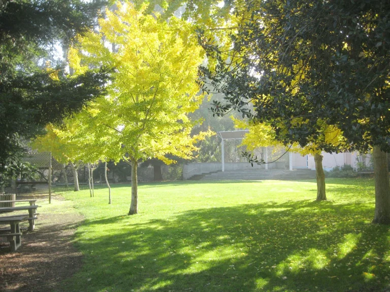 Twin Pines Park, a dog-friendly park in Belmont, California