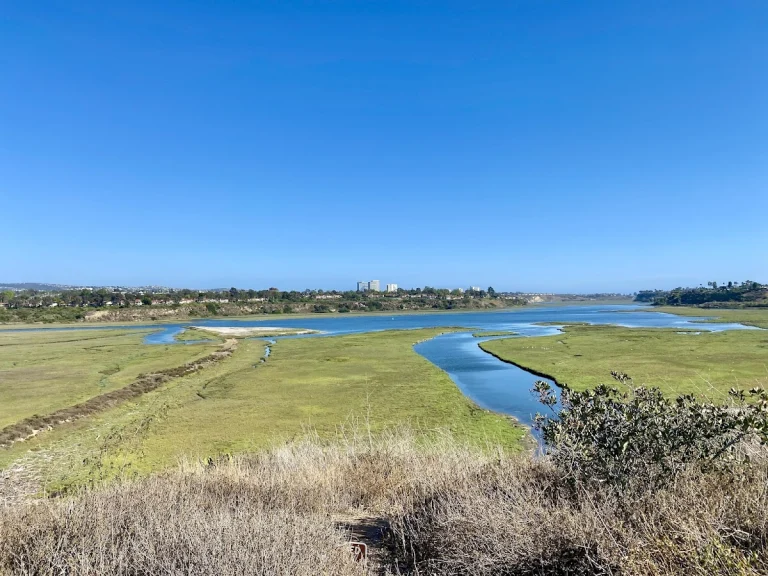 Upper Newport Bay Nature, Newport Beach