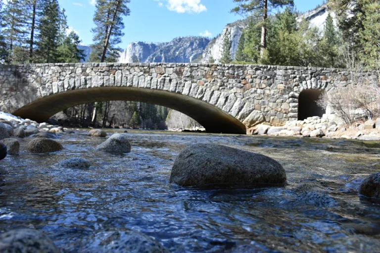 Upper Pines Campground & RV, a dog-friendly campground in Yosemite National Park, California