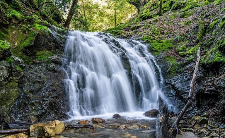 Uvas Canyon County Park