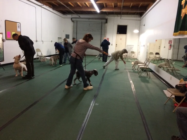 Vallejo Dog Training Club