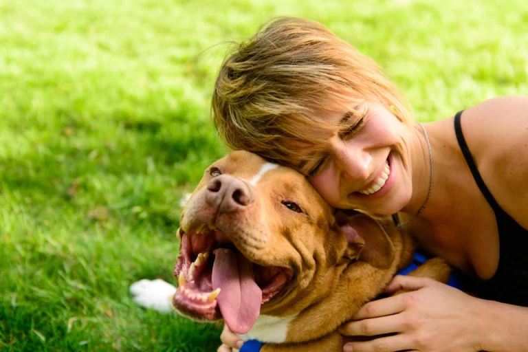 Valley Veterinary Hospital, a dog-friendly veterinary clinic in Walnut Creek, California