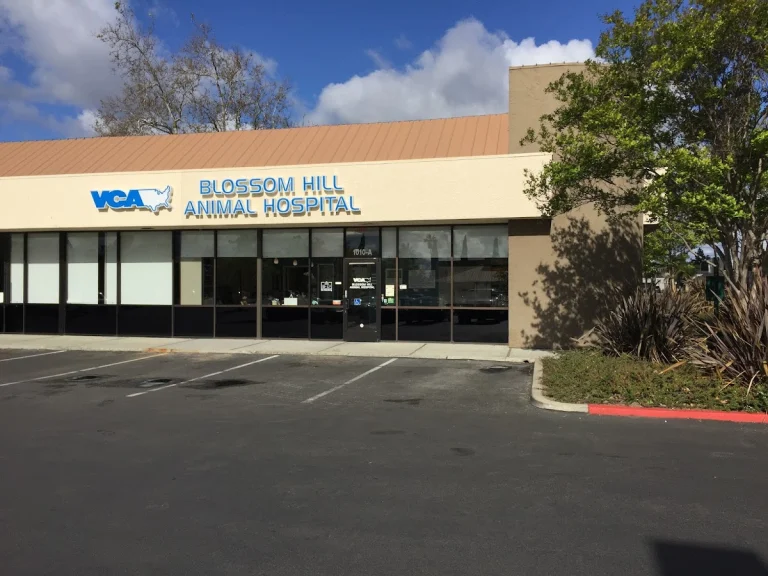 VCA Blossom Hill, a dog-friendly veterinary clinic in San Jose, California