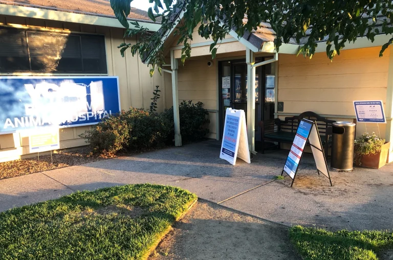 VCA Bradshaw Animal Hospital Google Places photo