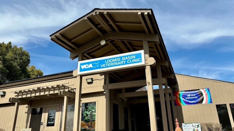 VCA Loomis Basin, a dog-friendly veterinary clinic in Loomis, California