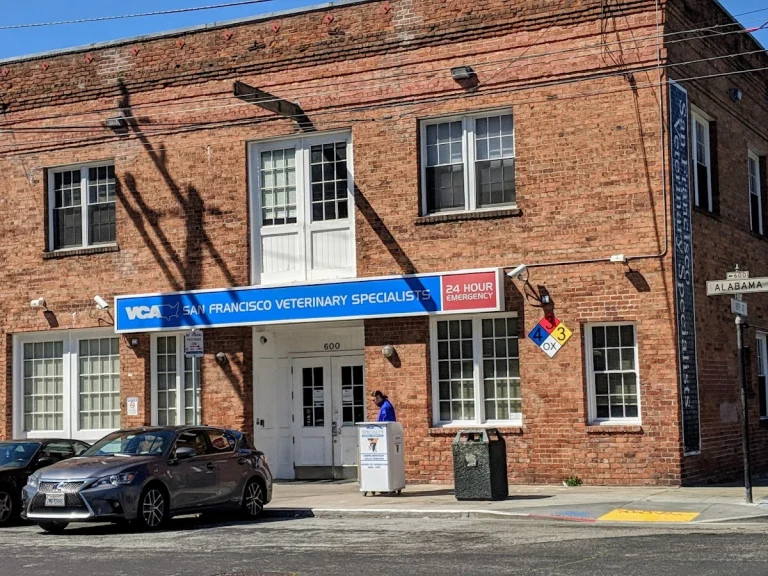 VCA San Francisco Veterinary, San Francisco