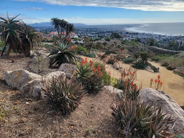 Ventura Botanical Gardens, a dog-friendly hiking trail in Ventura, California