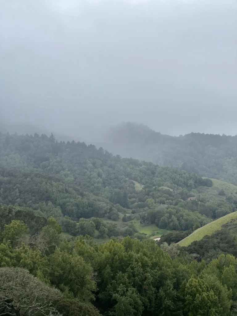 Verissimo Hills Google Places photo