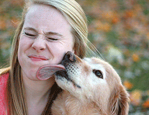 Girl kissed by dog. Yech