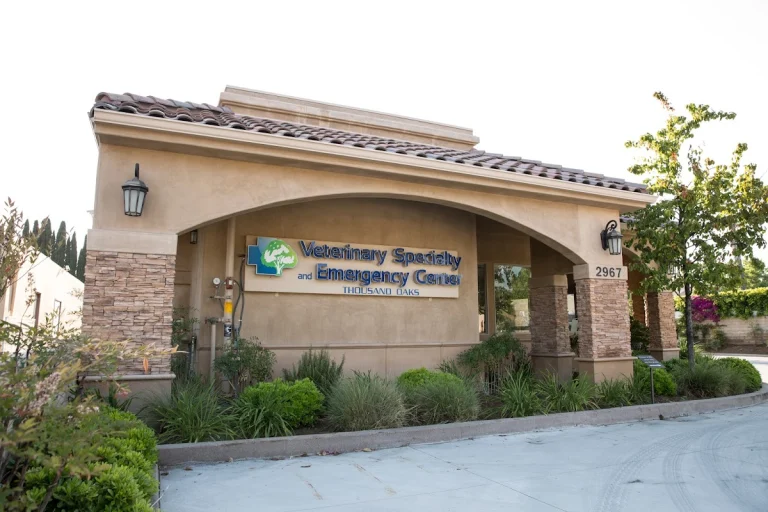 Veterinary Specialty and