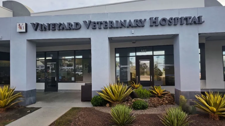 Vineyard Veterinary Hospital, a dog-friendly veterinary clinic in Temecula, California