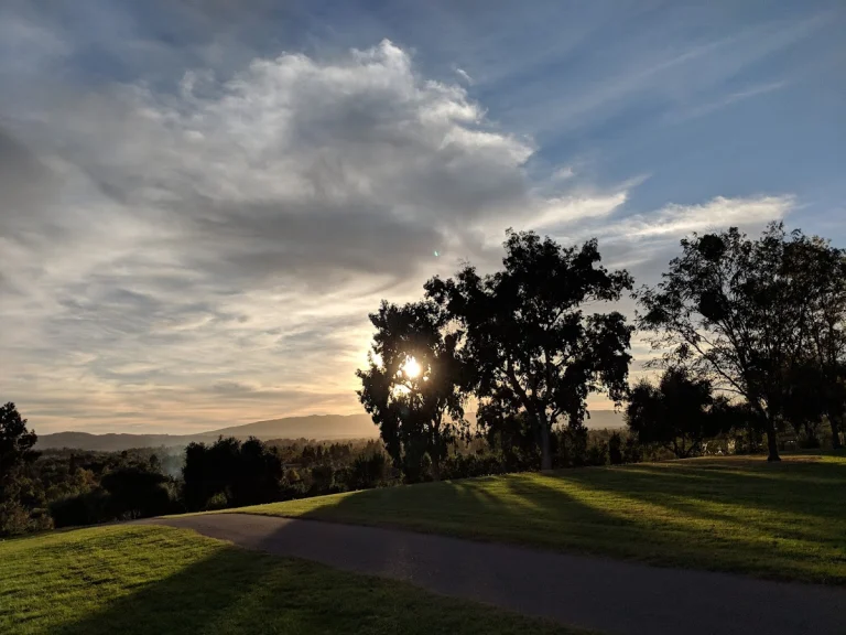 Vista Meadows Park, Livermore