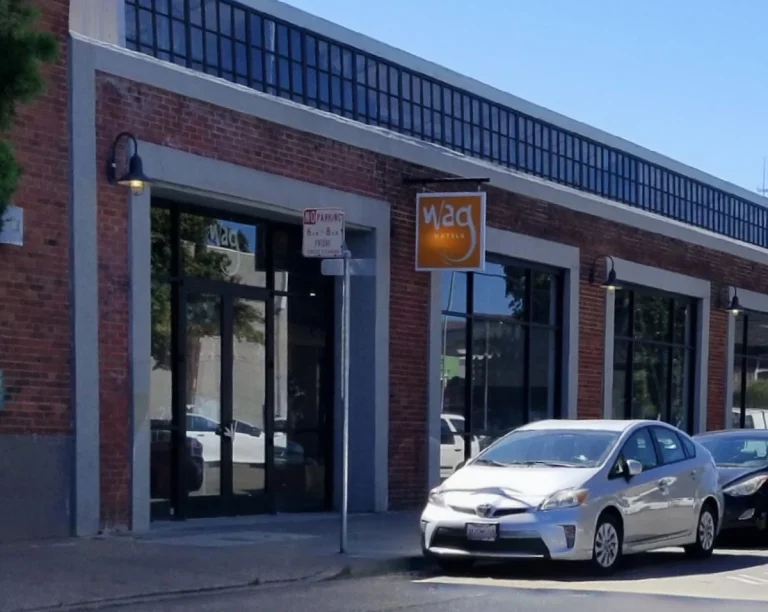 Wag Hotels - San Francisco, San Francisco