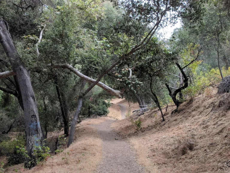 Walnut Creek Wilderness Park, a dog-friendly park in San Dimas, California