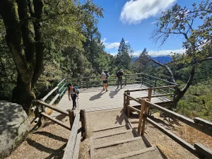Waterfall Hike, a dog-friendly hiking trail in Portola Valley, California