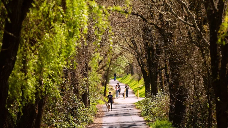 West County Regional Trail.