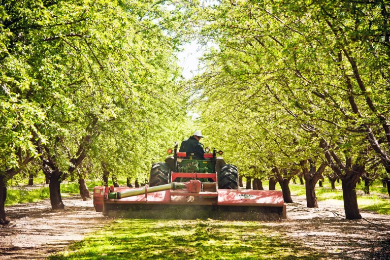 West Hills Farm, a dog-friendly park in Martinez, California