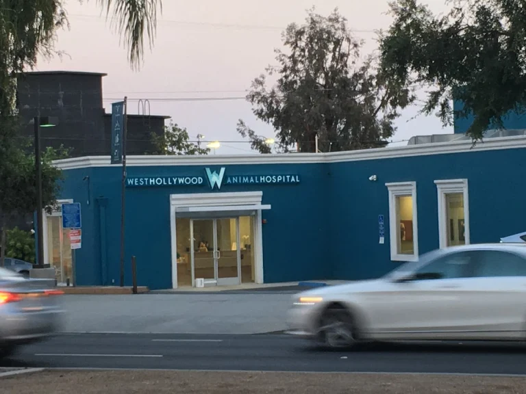 West Hollywood Animal Hospital, West Hollywood