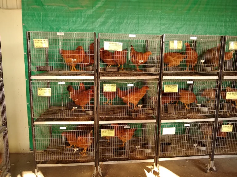 Western Farm Center Google Places photo