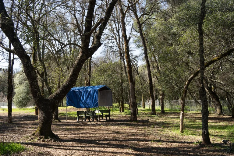 Western Gateway Dog Park