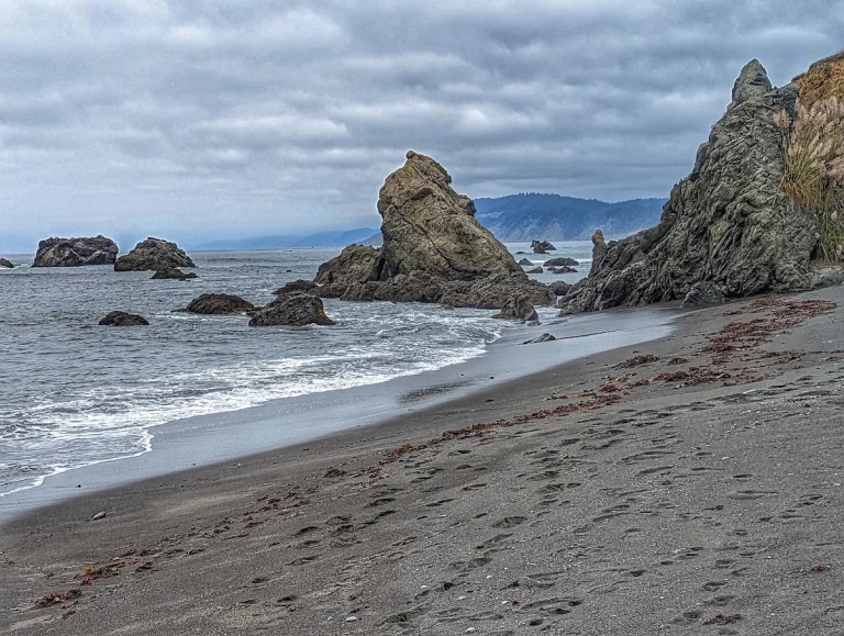 Westport Headlands Trail, a dog-friendly hiking trail in Westport, California