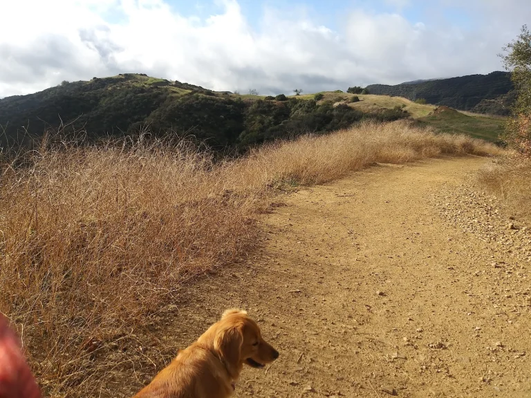 Westridge Canyonback Park Google Places photo