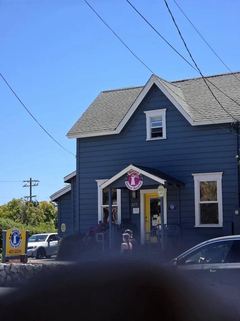 Westside Animal Hospital, Santa Cruz