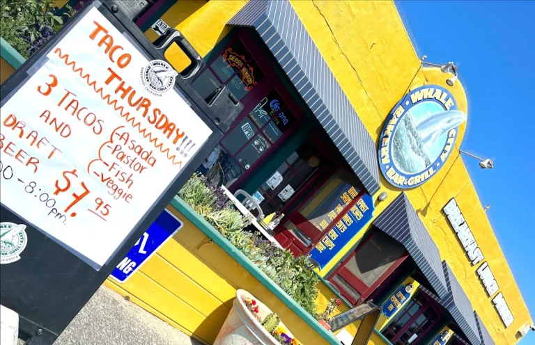 Whale City Bakery Bar & Grill, a dog-friendly restaurant in Davenport, California