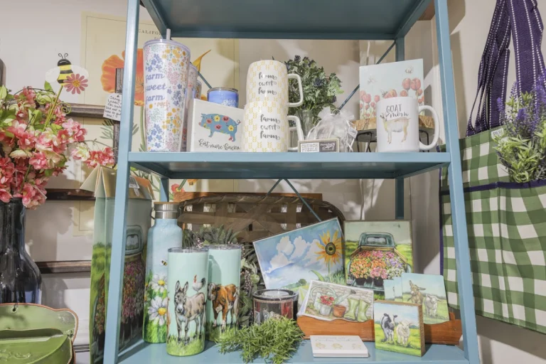What You Seek Boutique, a dog-friendly shopping destination in Angels Camp, California