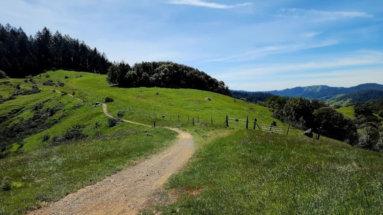 White Hill Open Space Preserve
