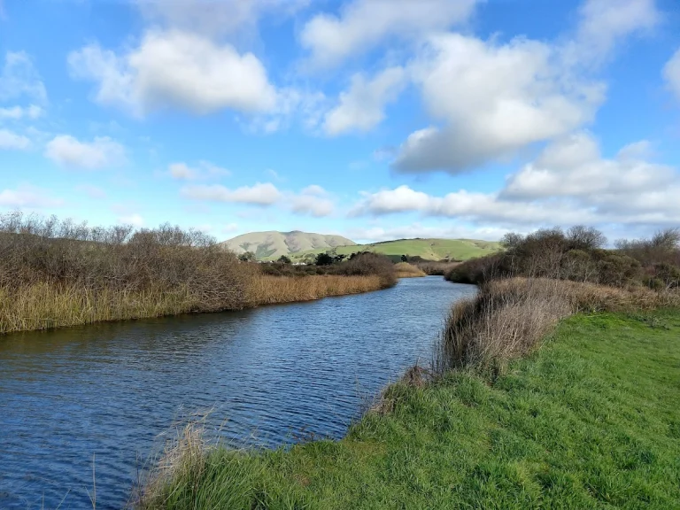 White House Pool, a dog-friendly park in Point Reyes Station, California