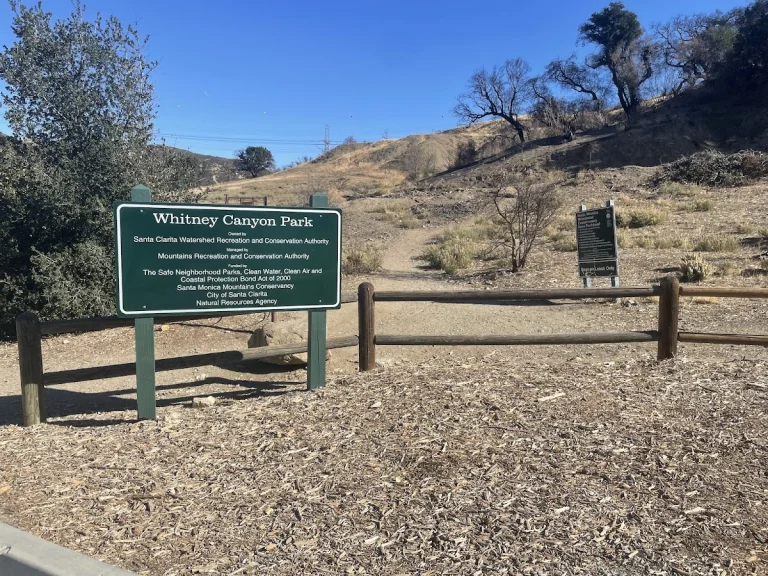 Whitney Canyon, a dog-friendly hiking trail in Newhall, California