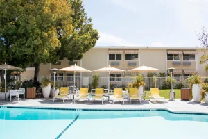 Wild Palms Hotel