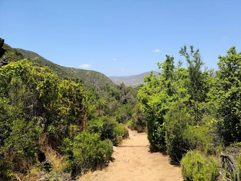 Wilderness Gardens Preserve, Pala