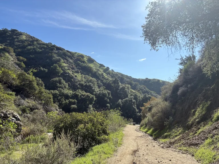 Wildwood Canyon Park, a dog-friendly park in Burbank, California