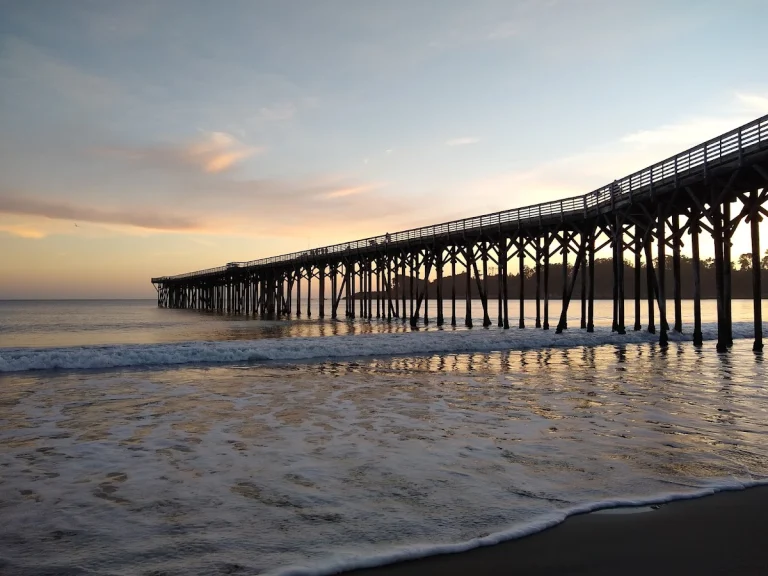 William Randolph Hearst, a dog-friendly beach in San Simeon, California