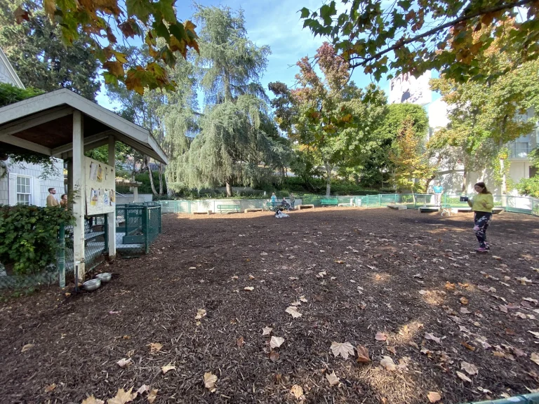 William S. dog park