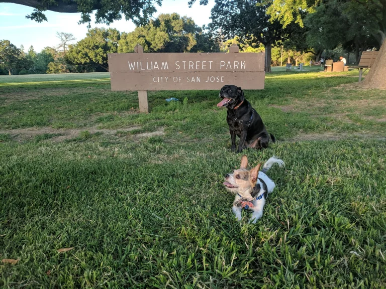 William Street Park Google Places photo