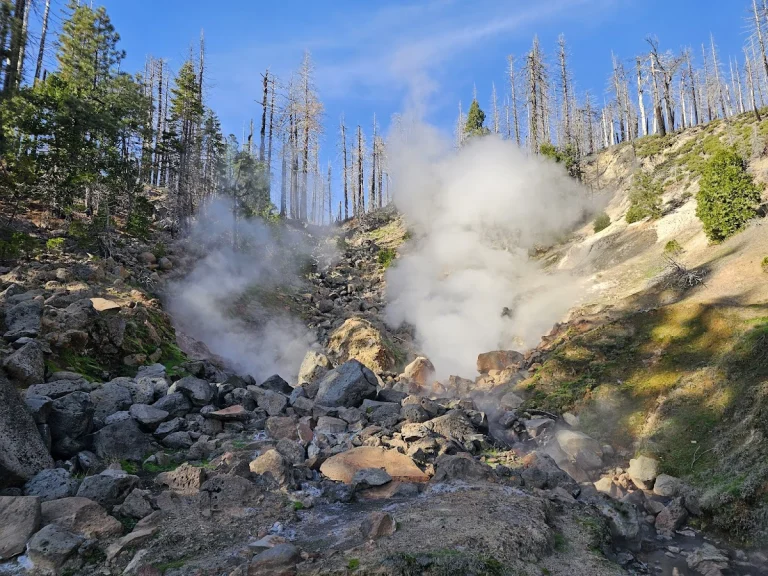 Willow Lake to Terminal Geyser, a dog-friendly hiking trail in Chester, California