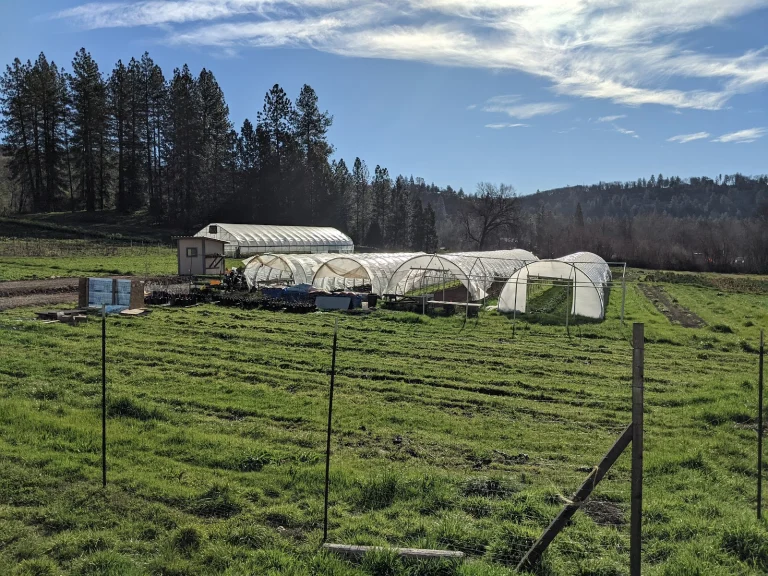Willow Pond Organic Farm