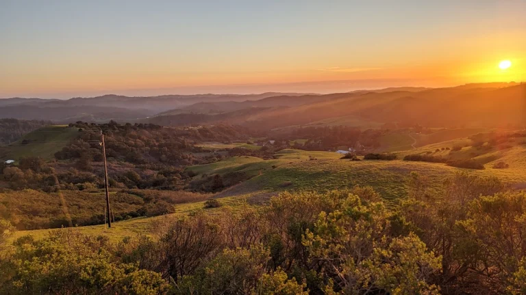 Windy Hill Open Space, Portola Valley