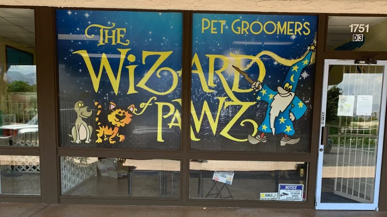 Wizard of Paws