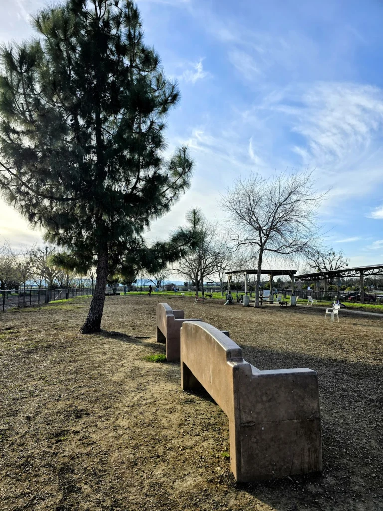 Woodland Off Leash Dog Park