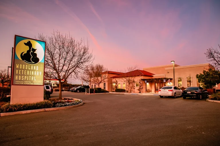 Woodland Veterinary Hospital, Woodland