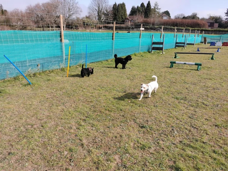 Woof and Wags Dog Park