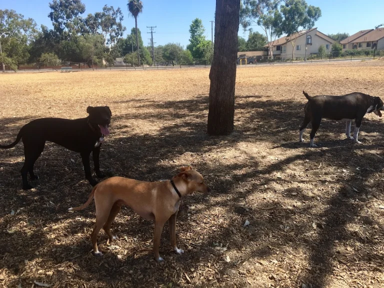 Wrigley Heights Dog Park, a dog-friendly dog park in Long Beach, California