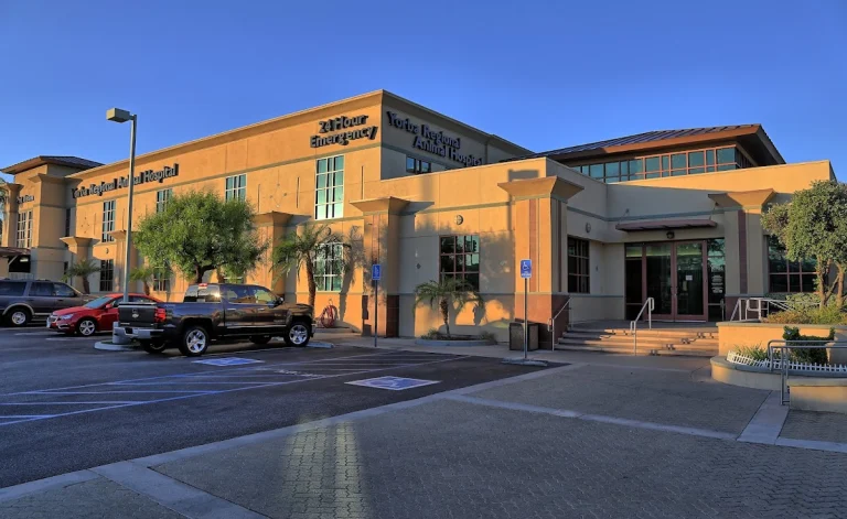 Yorba Regional Animal Hospital, a dog-friendly veterinary clinic in Anaheim, California