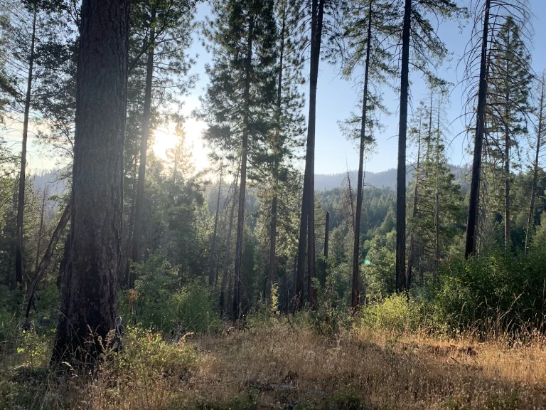 Yosemite Lakes Naco West Google Places photo