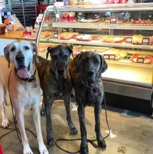 Three majestic Great Danes are eagerly posing in front of a well-stocked meat counter at a premium pet store in the sunny city of Irvine, possibly choosing their next scrumptious treat. - Dogtrekker