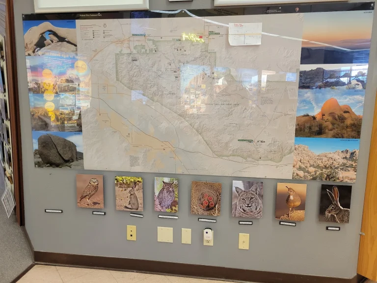 Yucca Valley Welcome Center Google Places photo